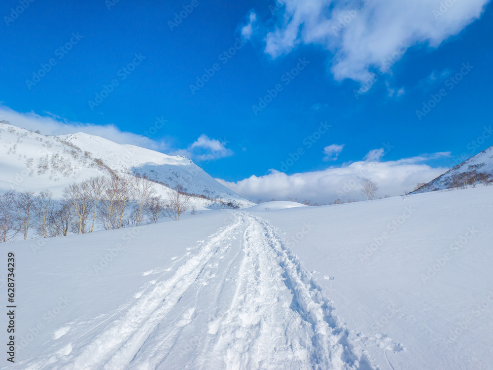 Ski tracks and footprints on a snow covered field (Niseko, Hokkaido, Japan)