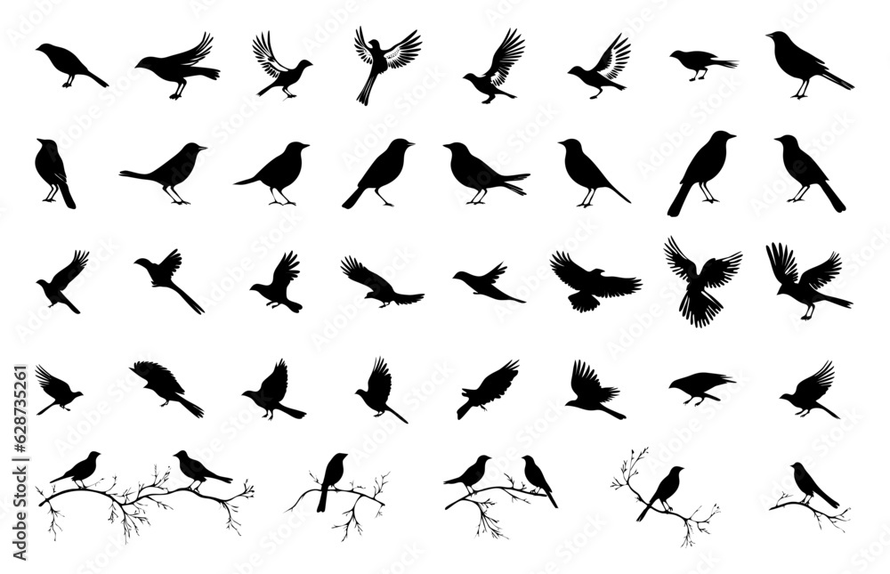 bird silhouettes element set collection for icon logo