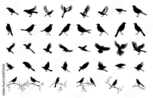 bird silhouettes element set collection for icon logo