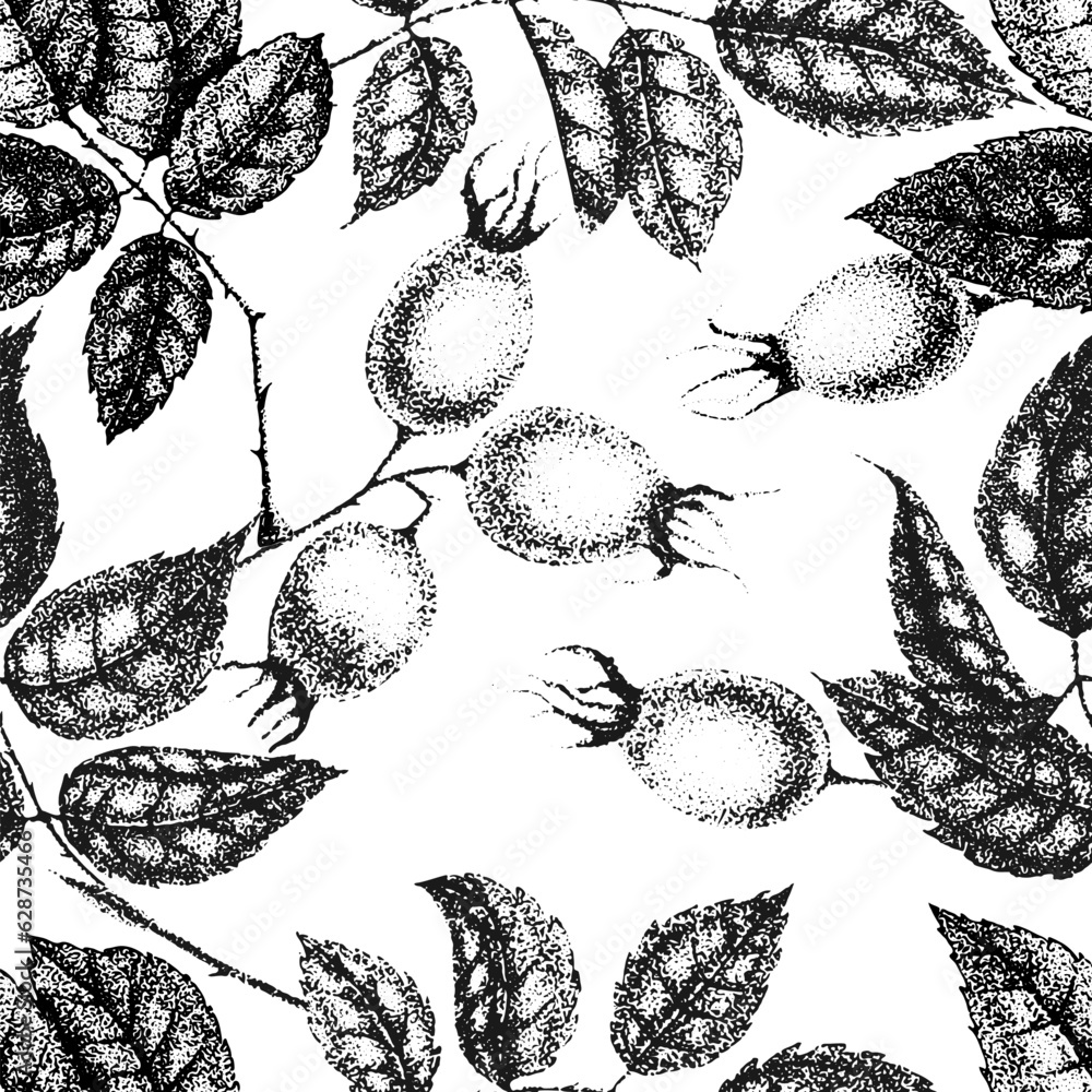 wild-rose-flowers-drawing-and-sketch-with-pointillism-on-white