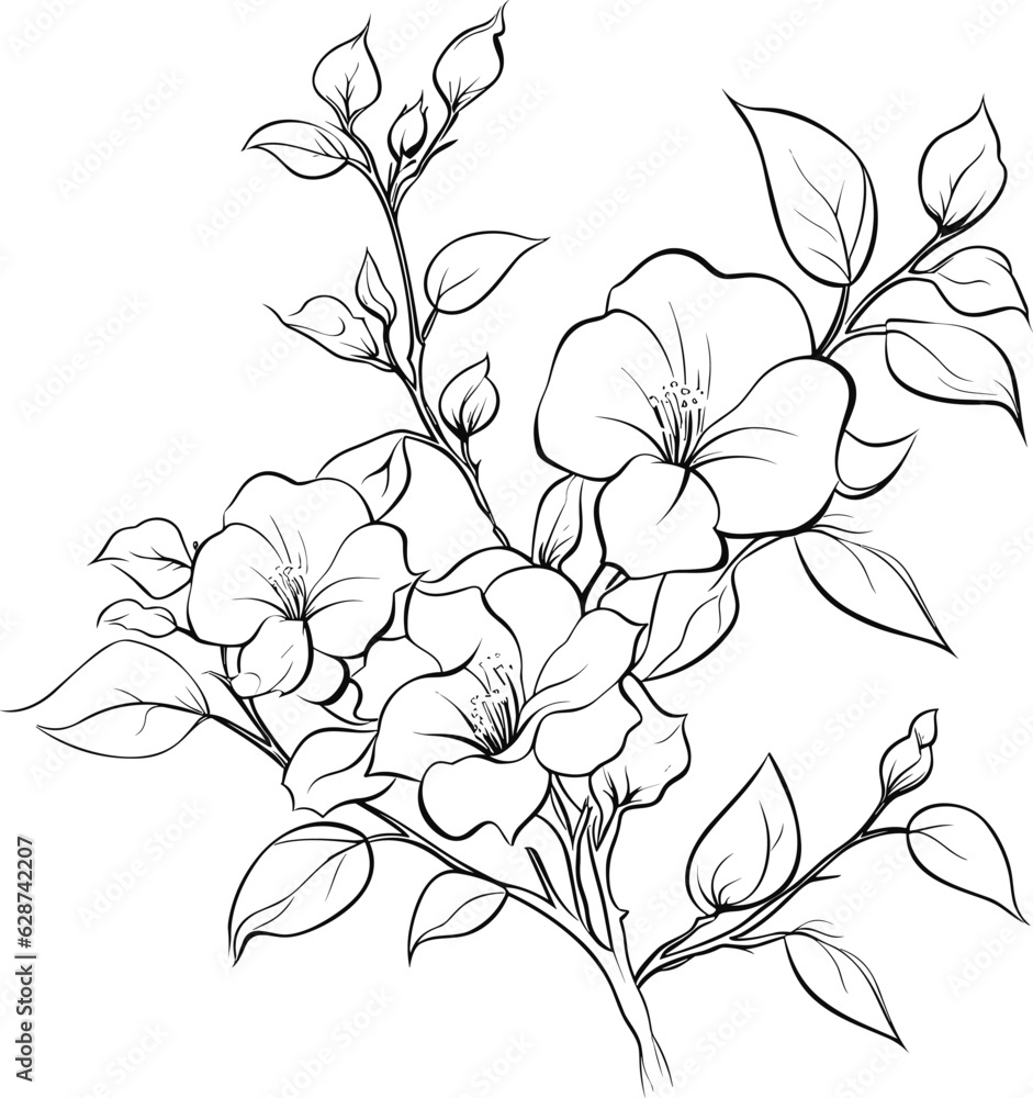 Bougainvillea coloring pages vector animals Stock Vector | Adobe Stock