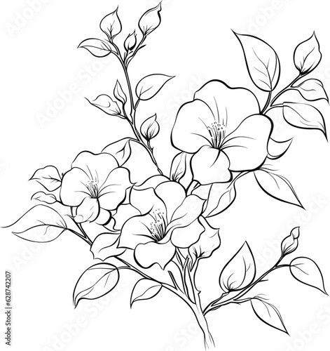 Bougainvillea coloring pages vector animals