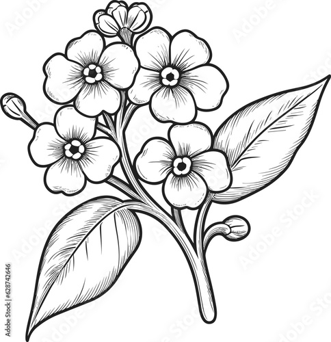 forget me not flower coloring pages vector animals