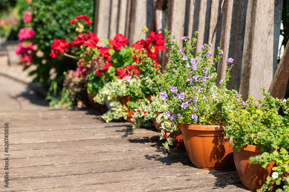 Garden with blooming flowers, outdoor wooden patio in the green colourful garden landscape. Flower garden built on terrace. Spring flowers border. Close-up.