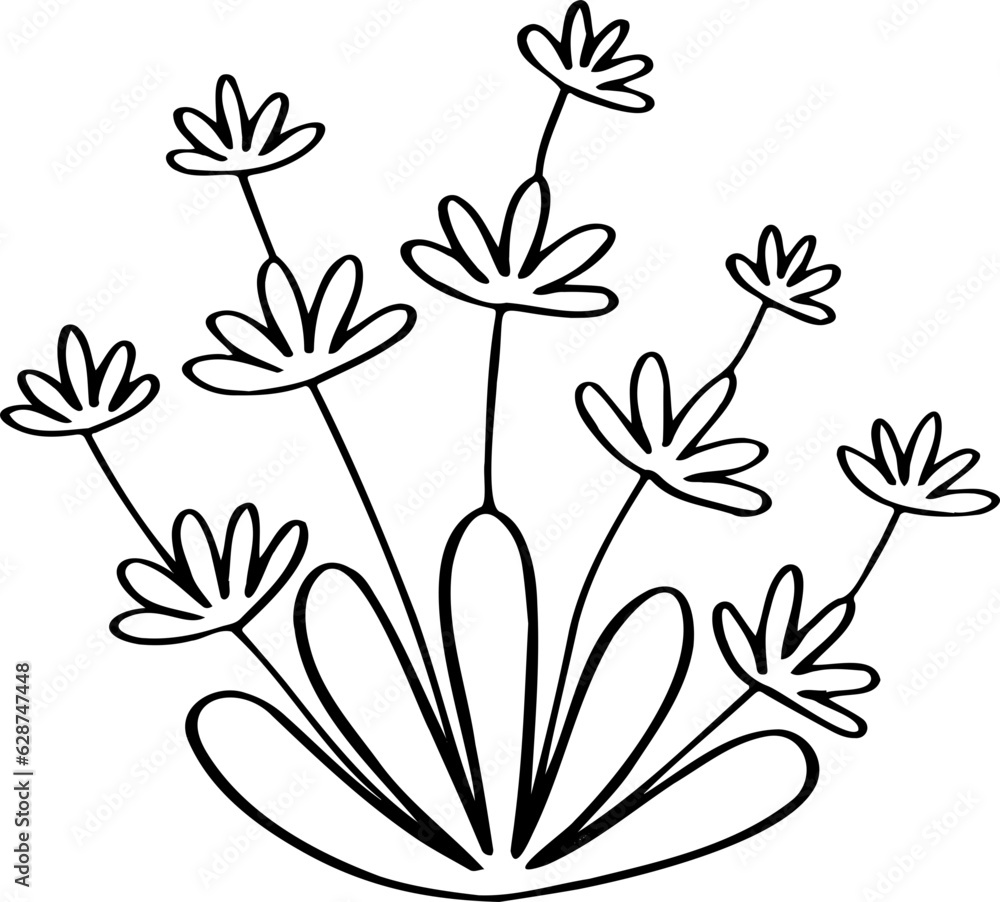 hand drawn plant illustration. hand drawn plant illustration.