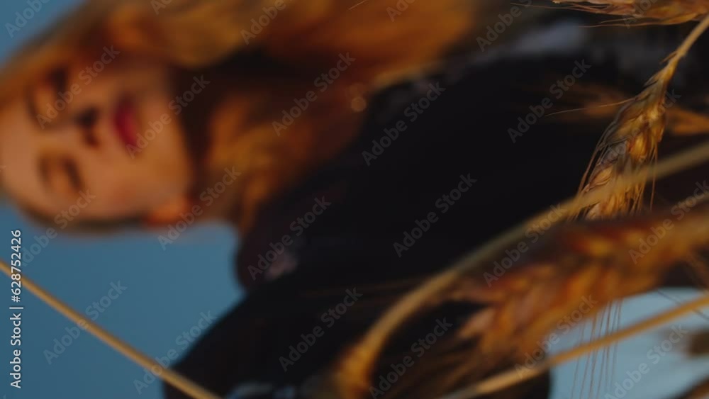 Vertical meditative video wheat ears and woman out of focus, save planet concept Vertical meditative video wheat ears and woman out of focus, save planet concept