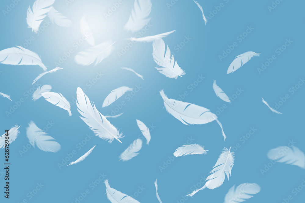 Abstract White Bird Feathers Falling in The Sky. Feathers Floating in Heavenly. Abstract White Bird Feathers Falling in The Sky. Feathers Floating in Heavenly.