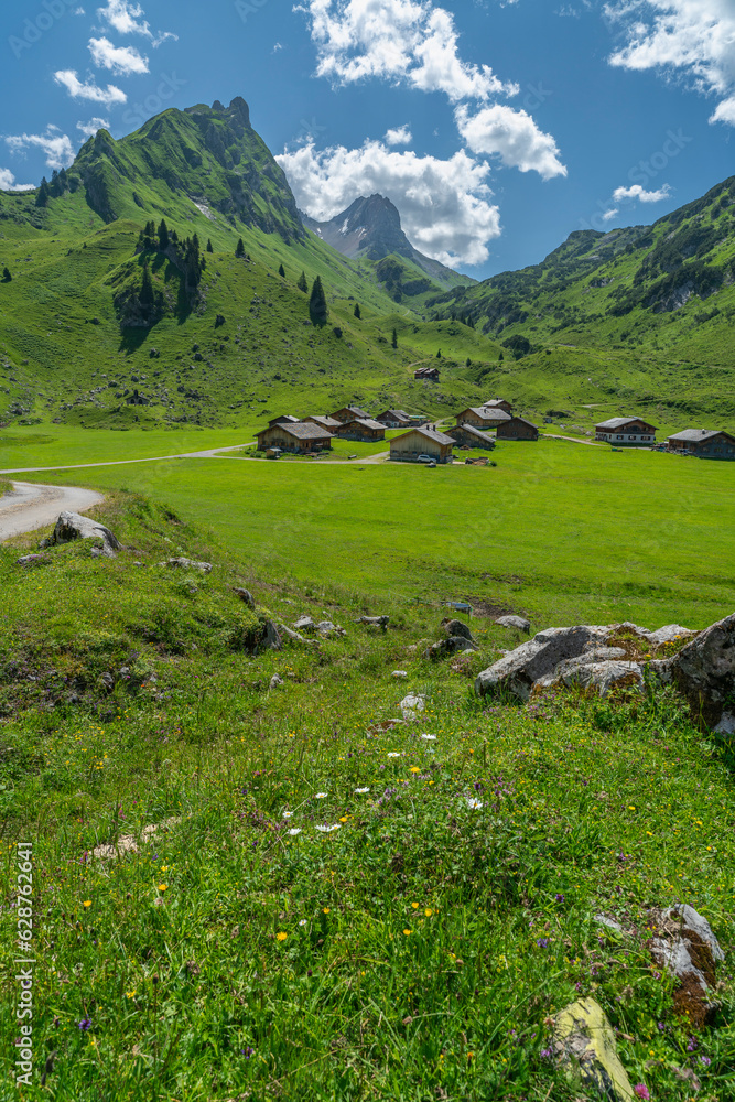 Alpsiedlung im Grosswalsertal mit Holzhäuser auf blumenübersäten Wiesen und steilen, steinigen Bergen im Hintergrund, Alp mit Kühen, alpiner Sommer mit Landwirtschaft 