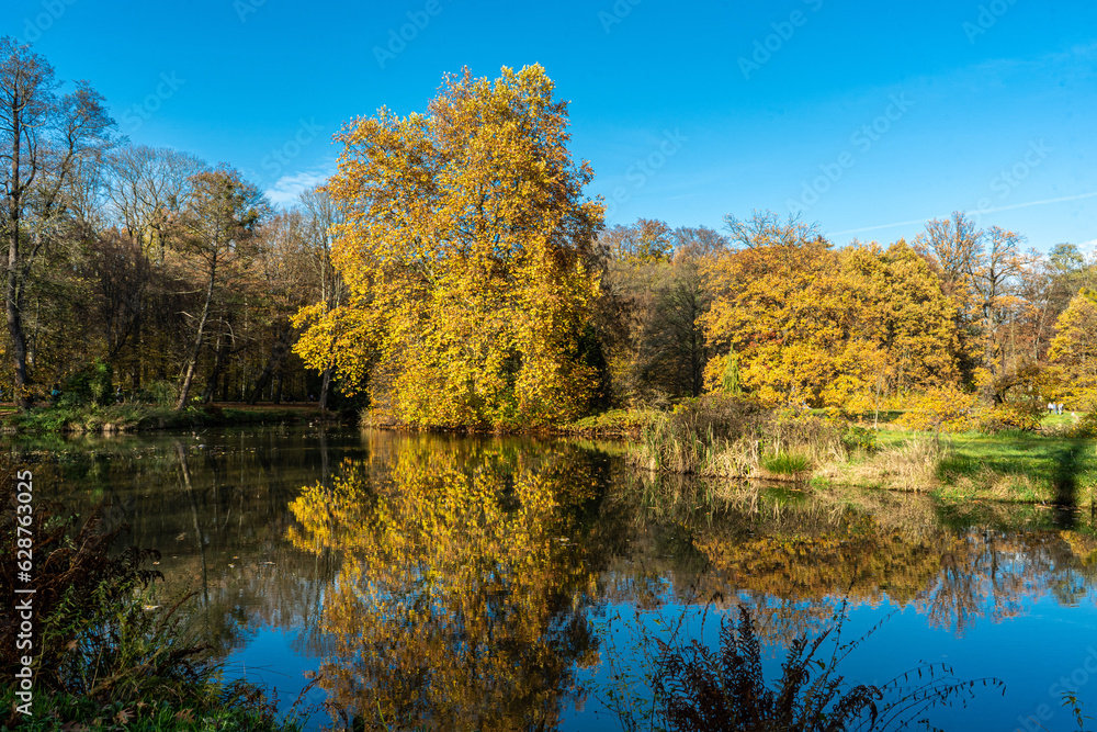 Pszczyna park