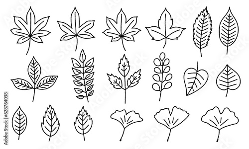 秋の植物の手書き線画ベクターイラストセット／紅葉・イチョウ・カエデ・葉っぱ・落ち葉