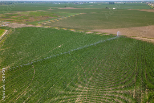 A circle of wheat has a circle in the middle of it. A field with a sprinkler on it. A farm is seen from the air.