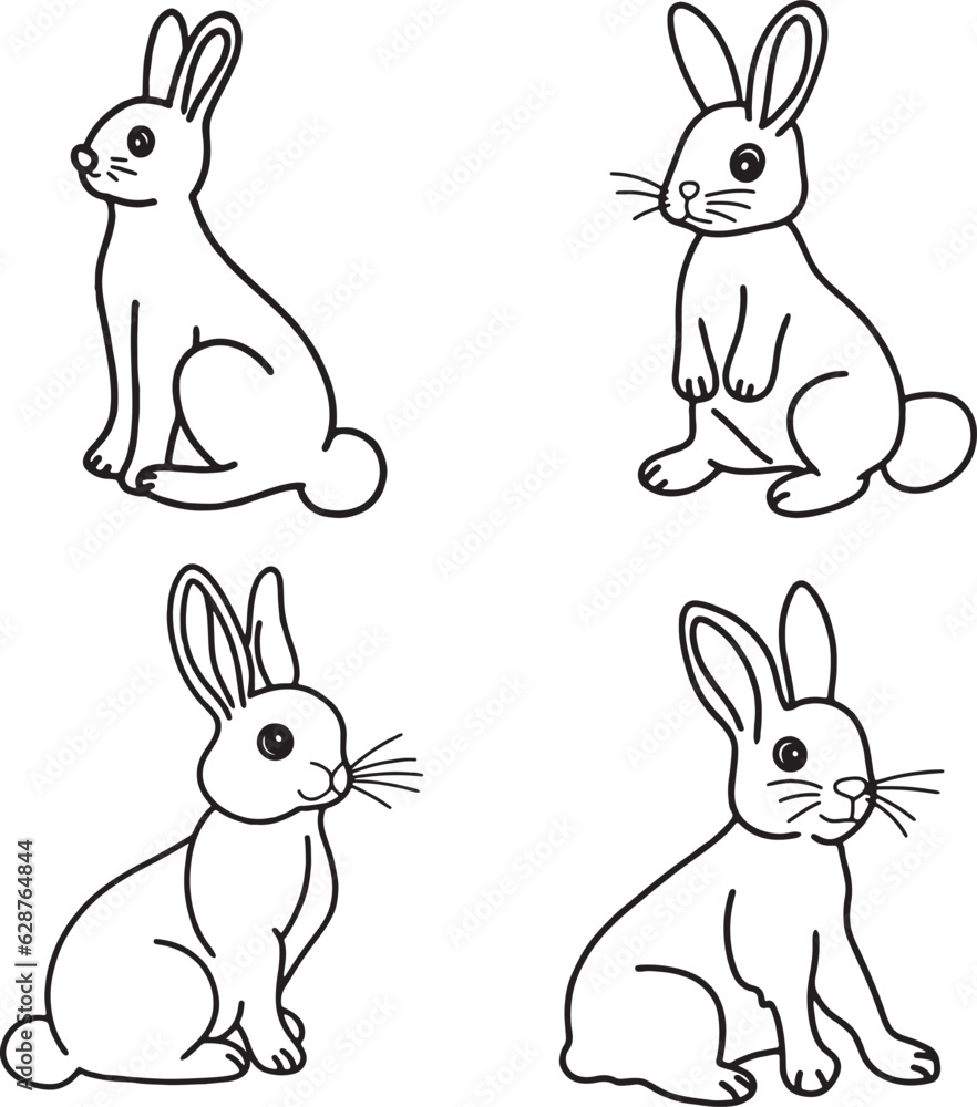 Fototapeta premium Rabbit bunny animal