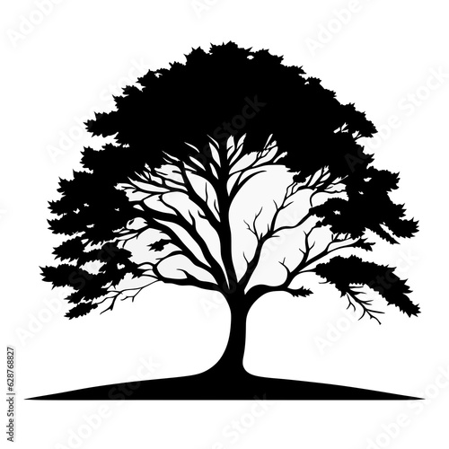tree silhouette isolated on white background  