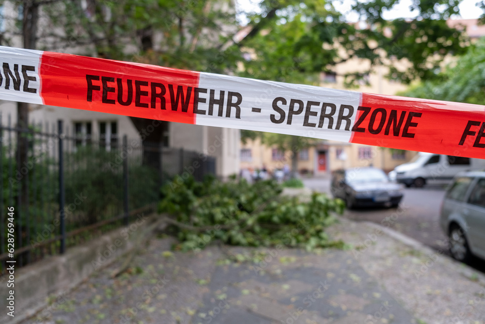 Obraz premium Barrier due to falling branches