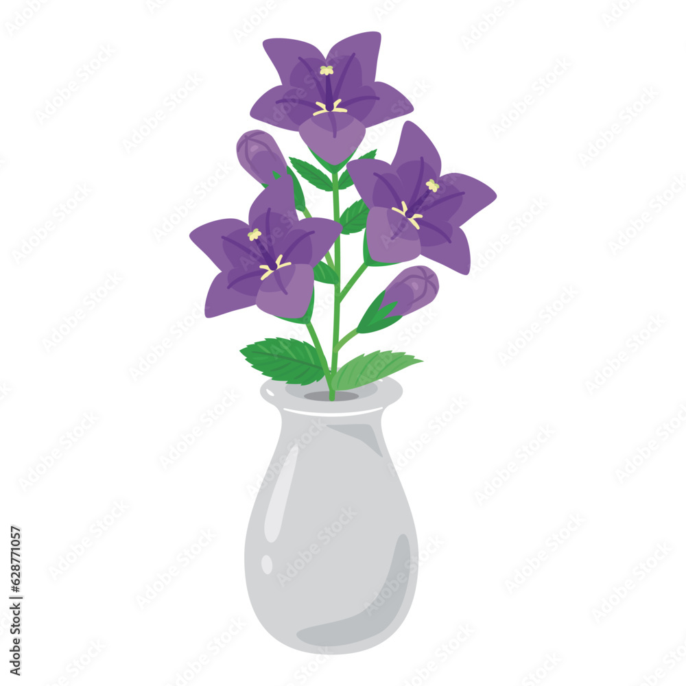 花瓶に入ったキキョウ 花瓶に入ったキキョウ