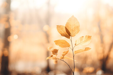 Moody autumn background - tree branch with brown autumn leaves in the sun and blurred trees. Retro brown, sepia fall backdrop