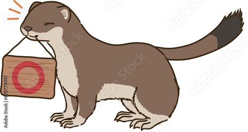 丸マークを描いた看板をくわえるオコジョ（夏毛）