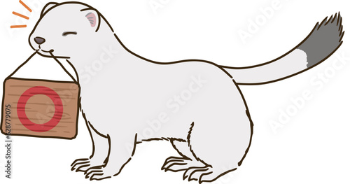 丸マークを描いた看板をくわえるオコジョ（冬毛）