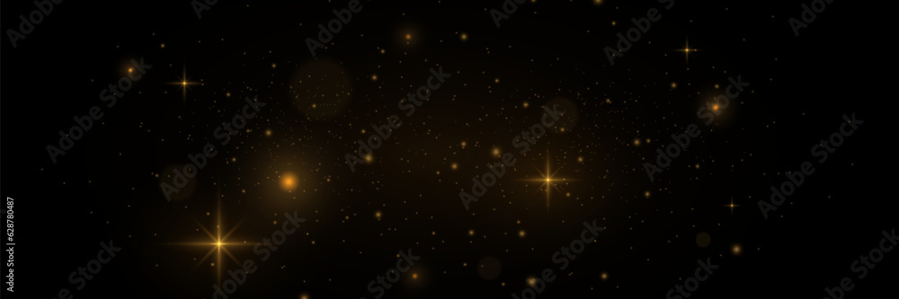 Shiny particle effect. Vector sparkles on a black background. Christmas light effect. Shiny magical dust particles. Sparks of dust and stars shine with a special light. Shiny particle effect. Vector sparkles on a black background. Christmas light effect. Shiny magical dust particles. Sparks of dust and stars shine with a special light.