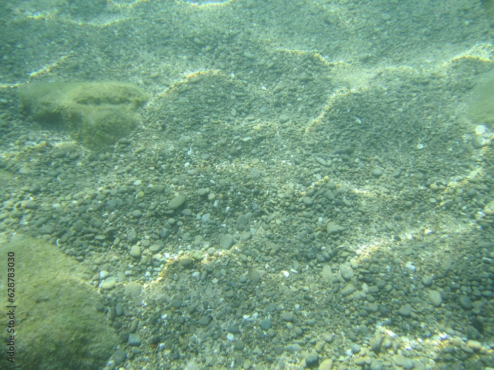 sand under the sea with the very clear water
