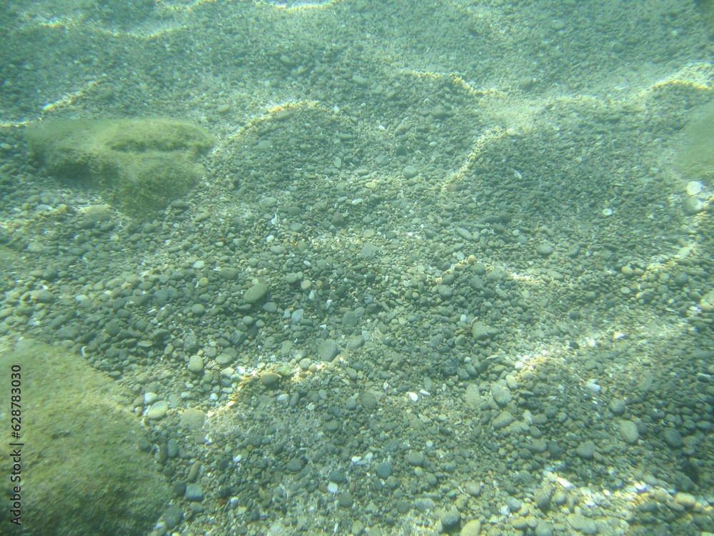 Fototapeta premium sand under the sea with the very clear water