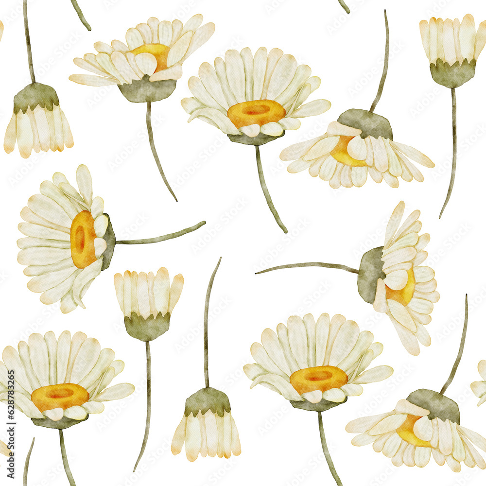 Watercolor Daisy Floral Seamless Pattern