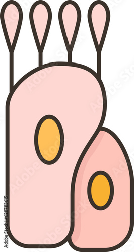cells  icon