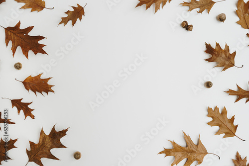 Autumn fall composition. Round frame made of dried oak leaves and acorns on white background with blank copy space