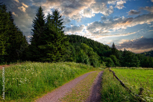 road to the mountains