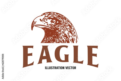Vintage Retro Hand Draw American Bald Eagle Hawk Falcon Head Illustration Vector