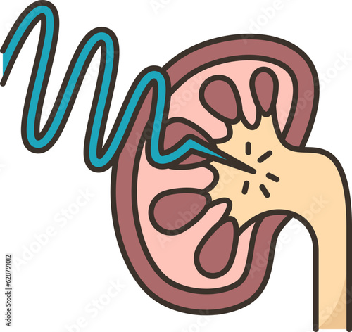 kidney  icon