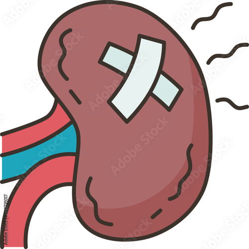 kidney  icon