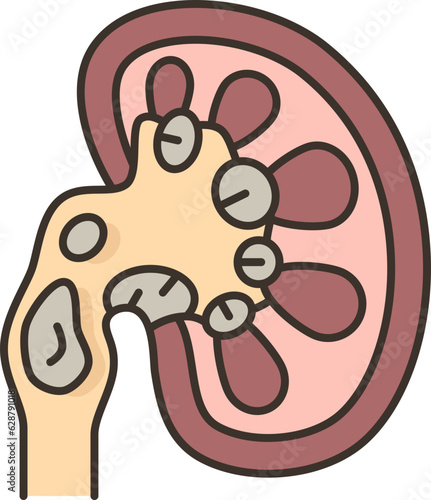 kidney  icon