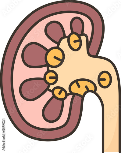 kidney  icon