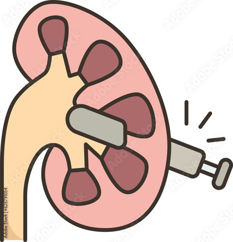 kidney  icon