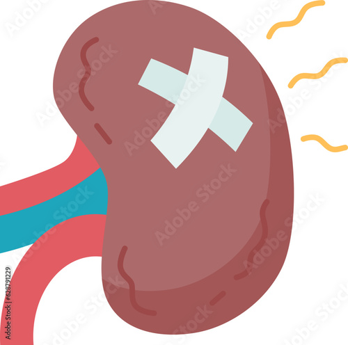 kidney  icon