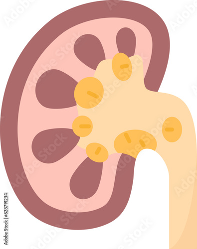 kidney  icon
