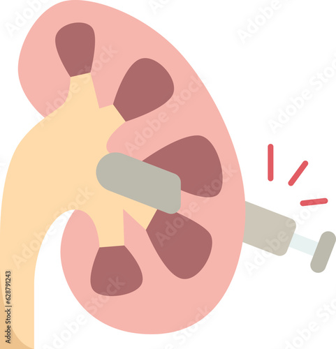 kidney  icon