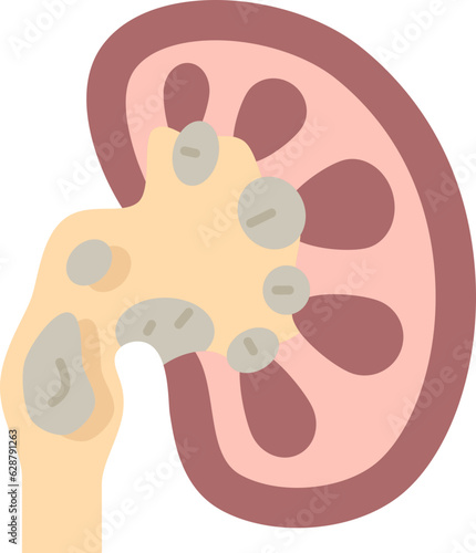 kidney  icon