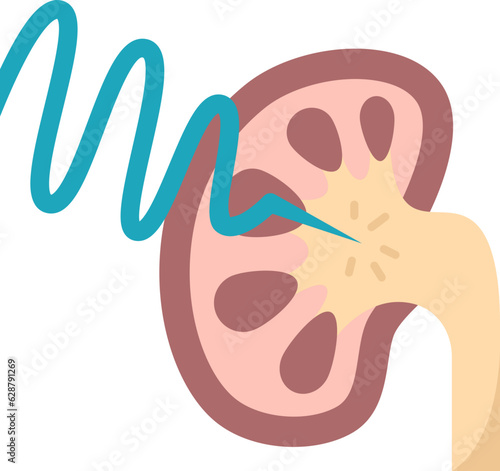 kidney  icon