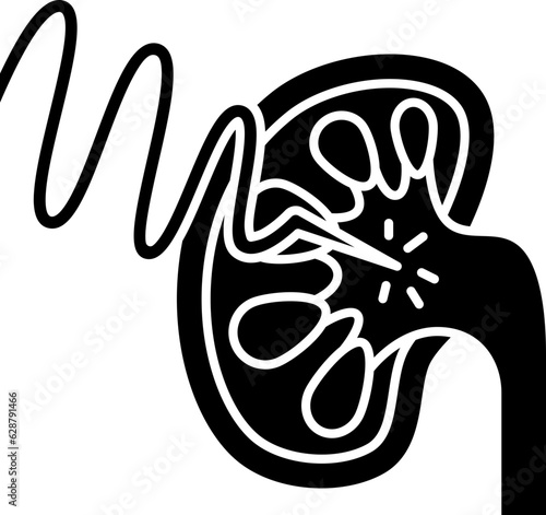 kidney  icon