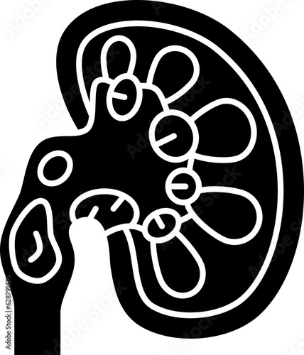 kidney  icon