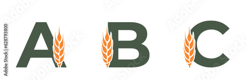 a b c capital letters with wheat ear. harvest alphabet design. cereal farming, agriculture and grain crops image