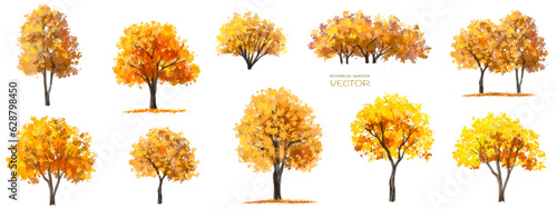 Vector watercolor tree or forest side view isolated on white background for landscape and architecture drawing,elements for environment or garden,botanical element for exterior section in autumn