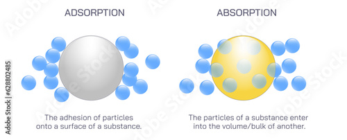 Difference between absorption and adsorption vector. Bio differences, adhesion of atoms, ions or molecules from gas, liquid or dissolved solid to a surface or enter some bulk phase element forms.