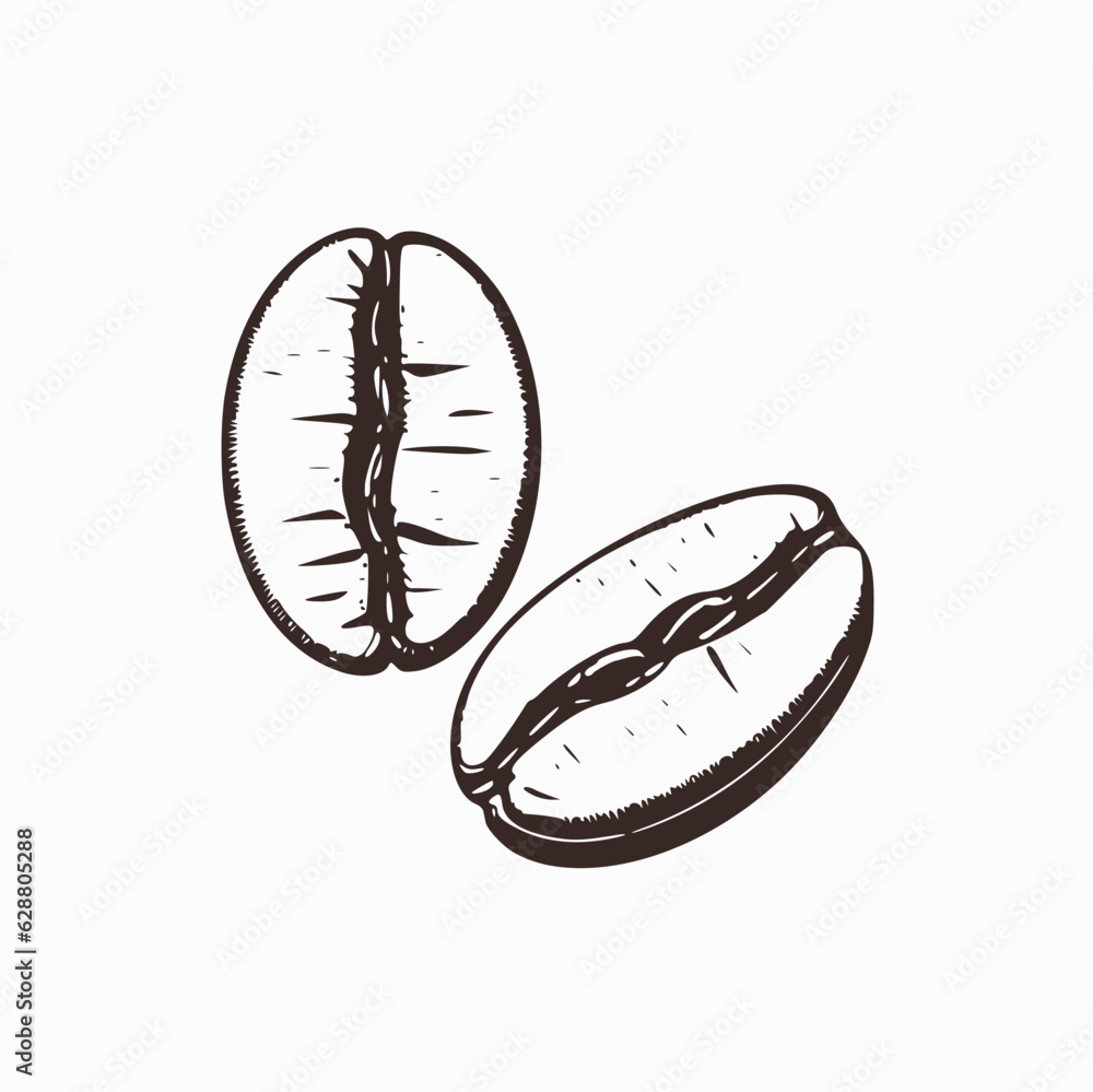 painted coffee beans, sketch, vector drawing, ideal component, grain of