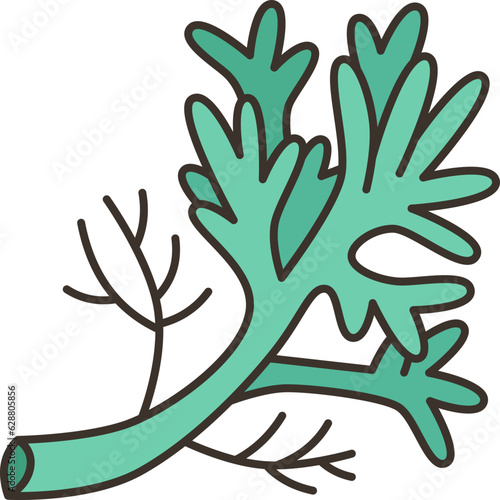dill  icon
