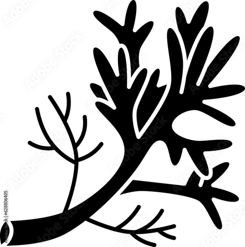 dill  icon