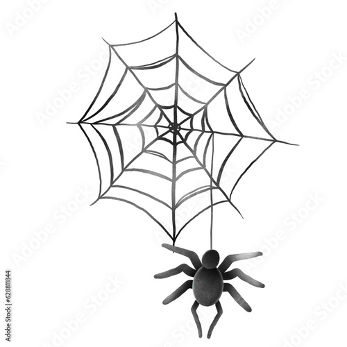 Illustration of cobweb with spider.