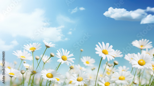 Daisy flowers and cloudy blue sky, beautiful spring nature landscape background. Generative ai